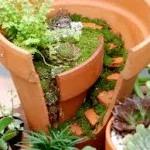 cracked pot