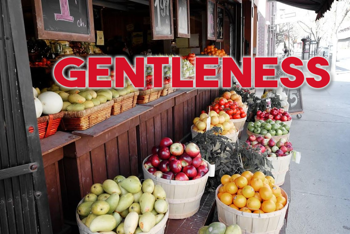 Gentleness – The Vulnerable Fruit of the Spirit