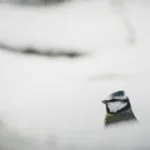 everyday-ness