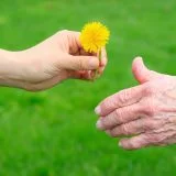 Giving a Dandelion to Senior