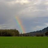 rainbow-in-field-SBI-300274960