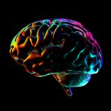 Our Brains Are Made for Restoration