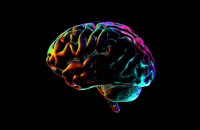 Our Brains Are Made for Restoration