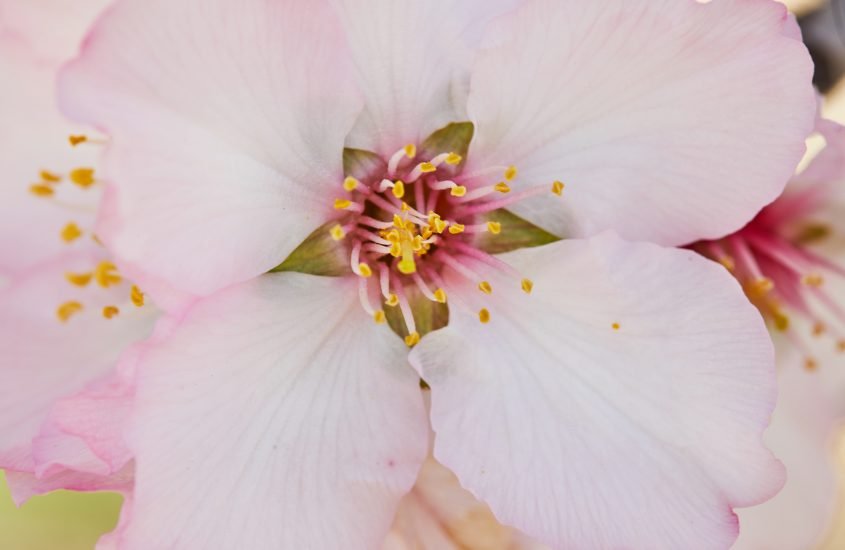 For Our Girls – Tell Her Why She is Beautiful