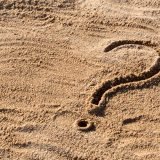 Is Jesus Gullible? Questions About Jesus You May Be Thinking Of.