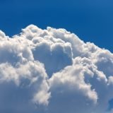 The Myth of the Perfect Decision About Love